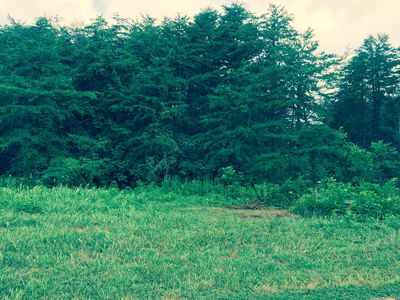 LOT 3 Belvior Cir LOT 3, Moneta, VA, 24121