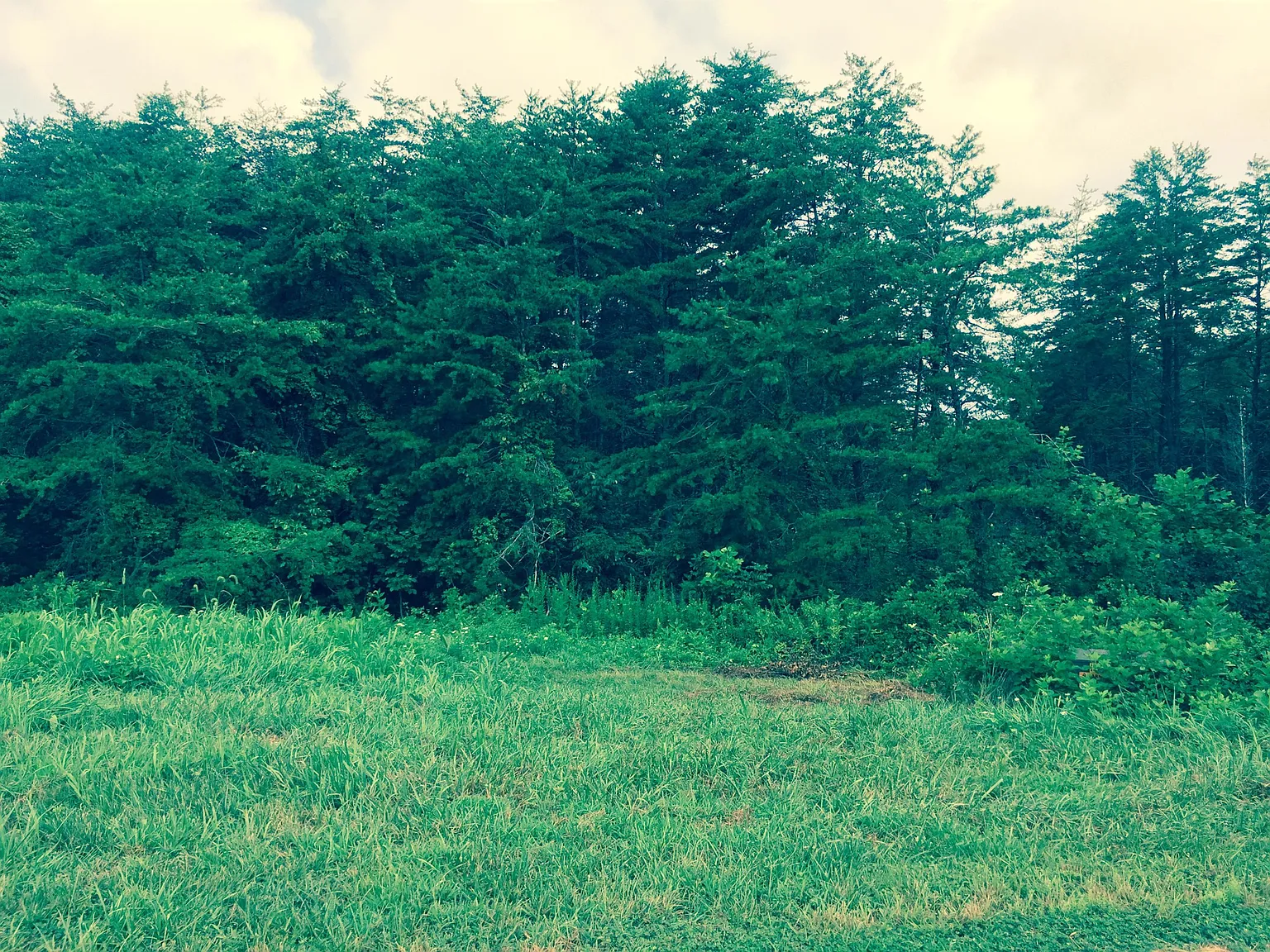 LOT 3 Belvior Cir photo 1
