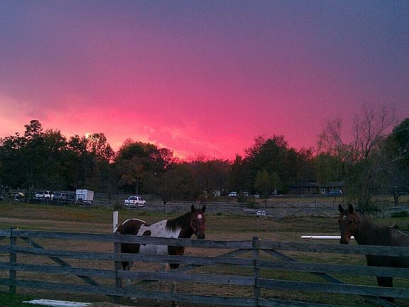 Sunset from the property.