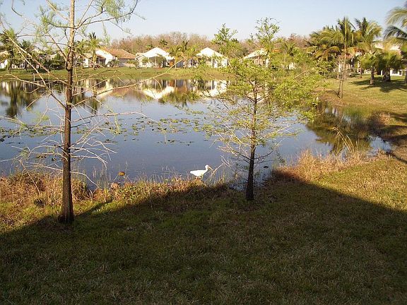 Another view from back