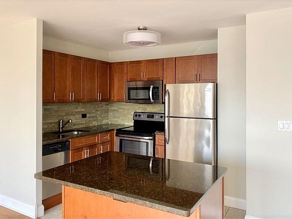5th image of 1360 N Sandburg Ter #2905