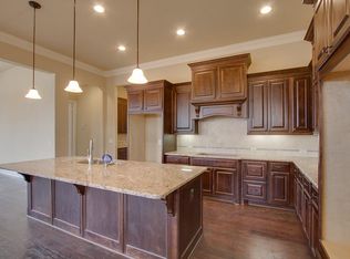 15 Lake View Loop, Fulshear, TX 77441