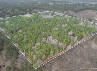 C Brown Dr, Lumberton, MS 39455