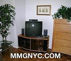 4th image of 350 W 50th St #4ZDD