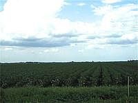1st image of 319 County Road 15 #15