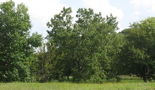 1st image of 170 Indian Creek Ln SE