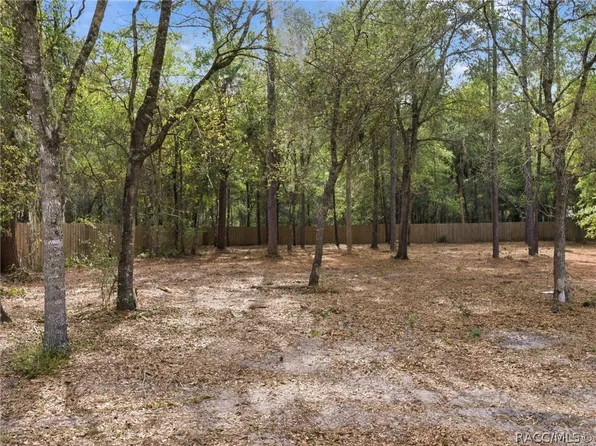 9928 W Pinespring Ct, Crystal River, FL 34428