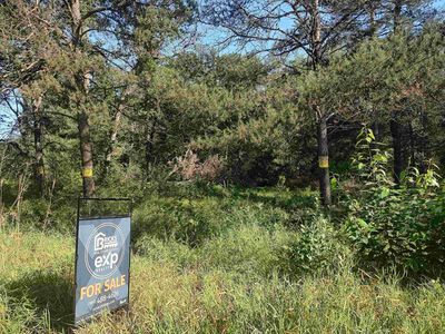 0 Dewberry Ln, Roscommon, MI, 48653