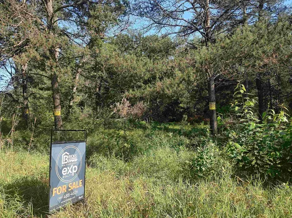 0 Dewberry Ln, Roscommon, MI 48653