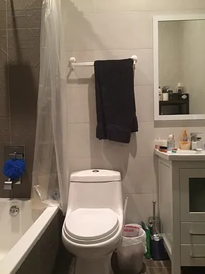 Rented by Evergreen Apartments BK | media 86