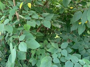 Town Point Rd, Cambridge, MD 21613