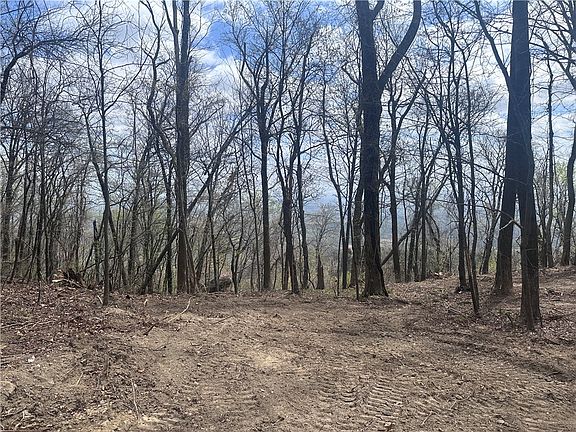 2nd image of 0 Flintrock Knob Ln
