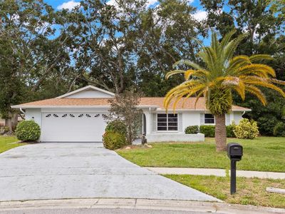 2956 Sutherland Ct, Palm Harbor, FL, 34684