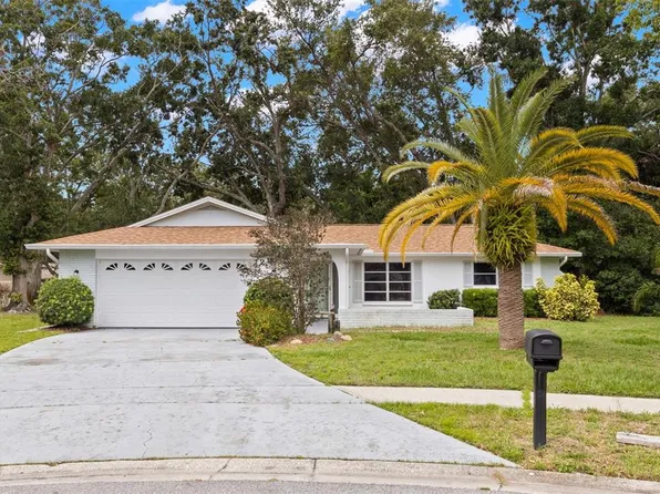 2956 Sutherland Ct, Palm Harbor, FL 34684