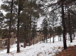 2296 Constellation Ln, Overgaard, AZ 85933