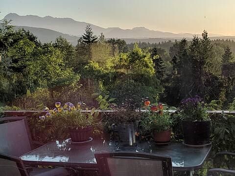 SUMMER VIEW FROM DECK