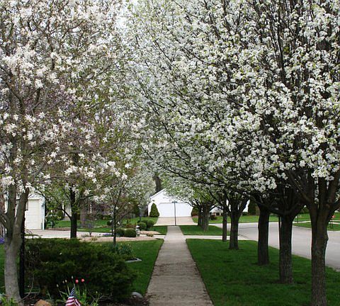 3rd image of 5824 Province Ct