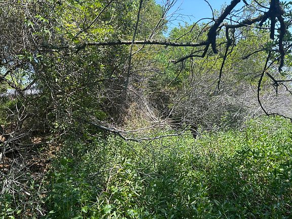 2nd image of 2035 Sol Legare Rd