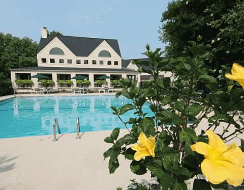 Fully furnished, all inclusive aparment