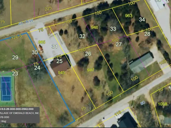 000 Duck Drive, Golden, MO 65658