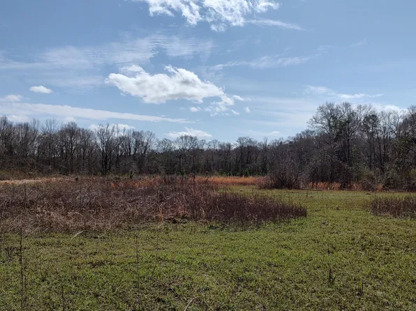 No Archie Wheat Rd, Poplarville, MS 39470