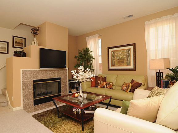 Wood Burning Fireplace