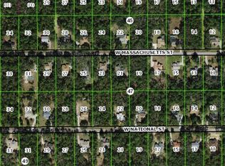 921 N Jill Ave, Hernando, FL 34442