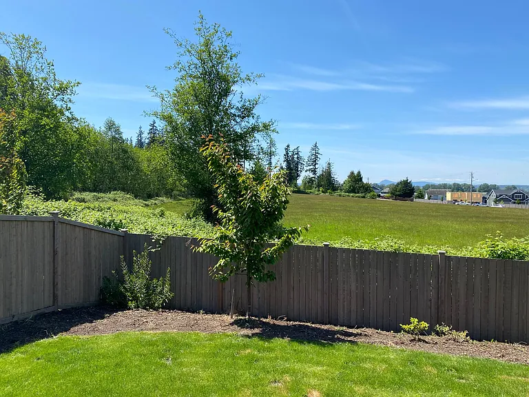 3217 Loch Ness Loop — Photo 18