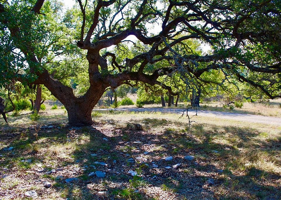 1st image of 263 N Spanish Oak Trl