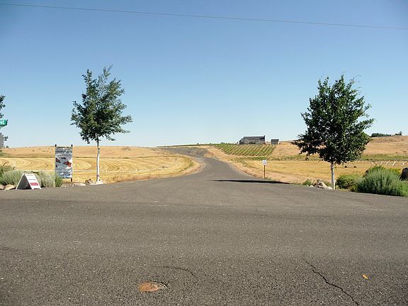 Turn onto Road 7.3 into the Cayuse development & past their vineyard
