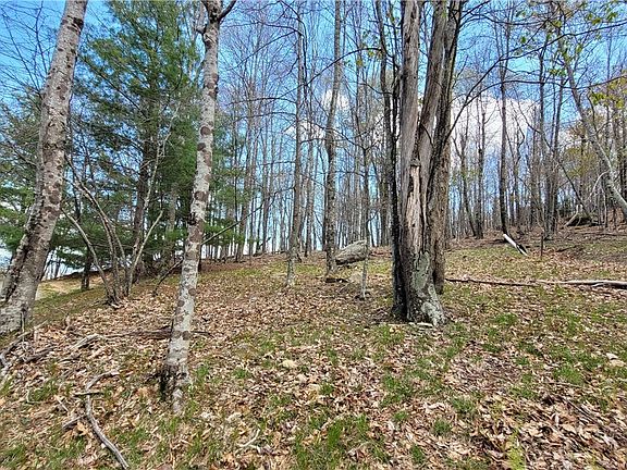 2nd image of 123/126 W Blueberry Lane