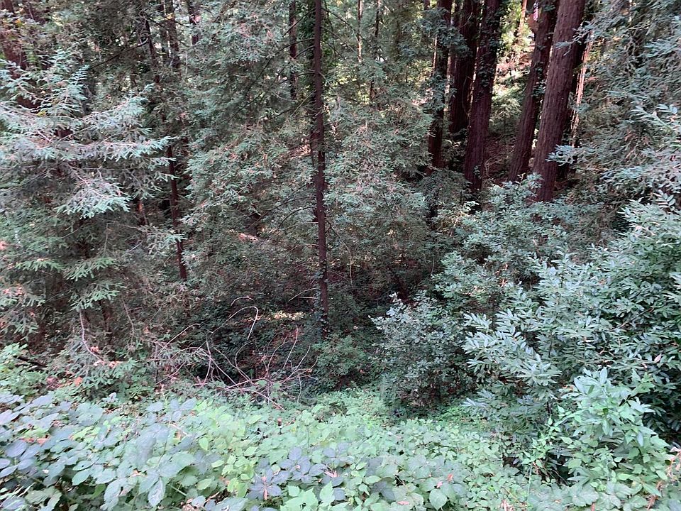 2nd image of 21745 Lindbergh Dr