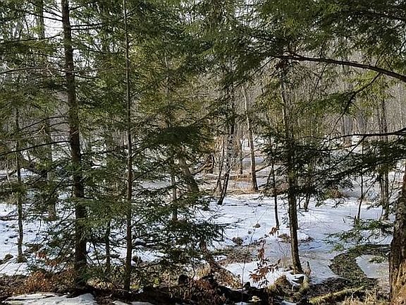 4th image of 13595 Long Lake Dr
