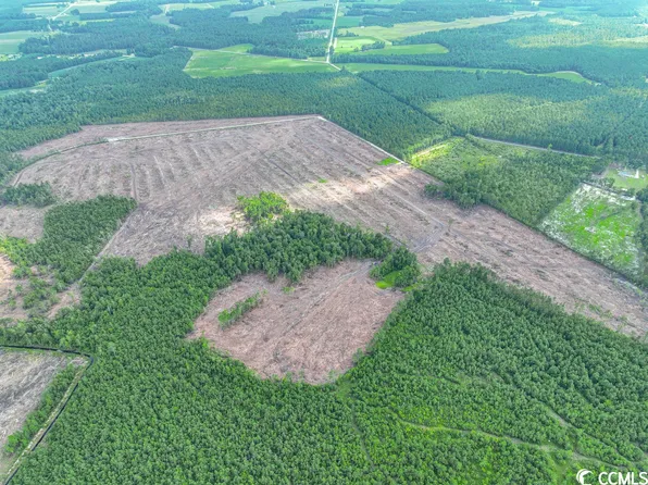 TBD Alma Rd., Green Sea, SC 29545