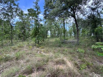 TBD SE 16th Ln, Morriston, FL, 32668