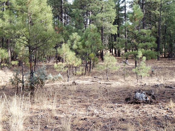 Mixed Vegetation