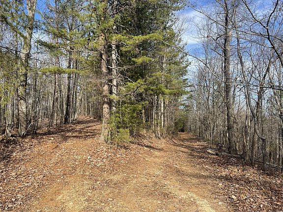 5th image of 0 Blackburn Hollow Rd NW Lot 125ACRES