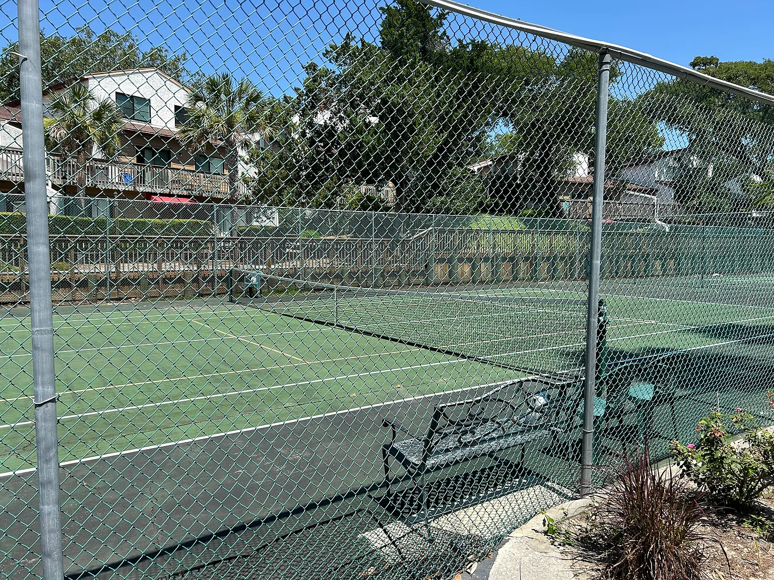 2 bed, 1.5 bath, 1113 sqft, $3,000 — Photo 3