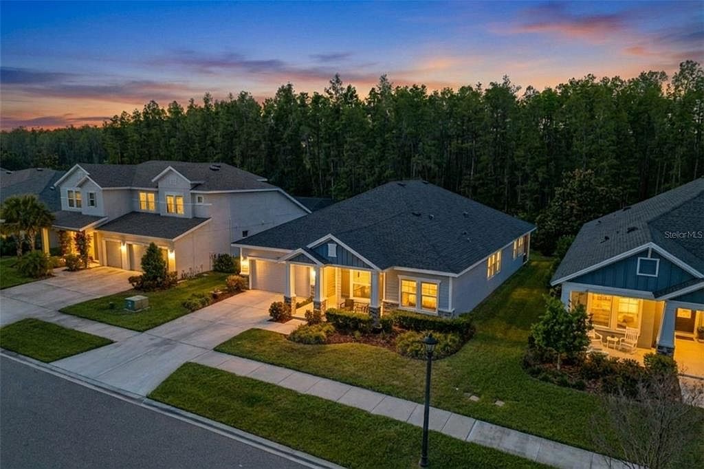 あズ 15329 Renaissance Ave, Odessa, FL 33556 | Zillow