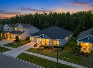 15329 Renaissance Ave, Odessa, FL 33556