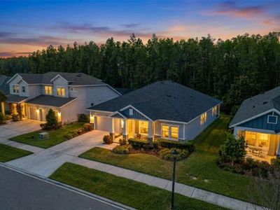 15329 Renaissance Ave, Odessa, FL, 33556