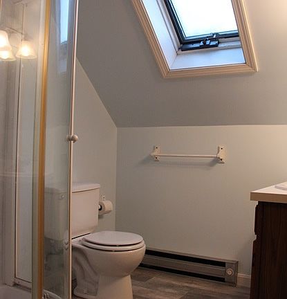 second floor bath with shower, skylight
