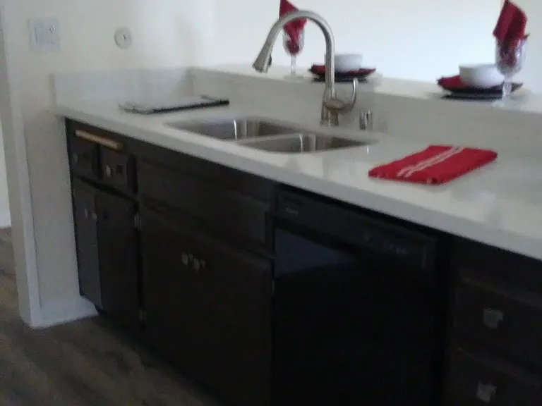 Kitchen sink and dishwasher.