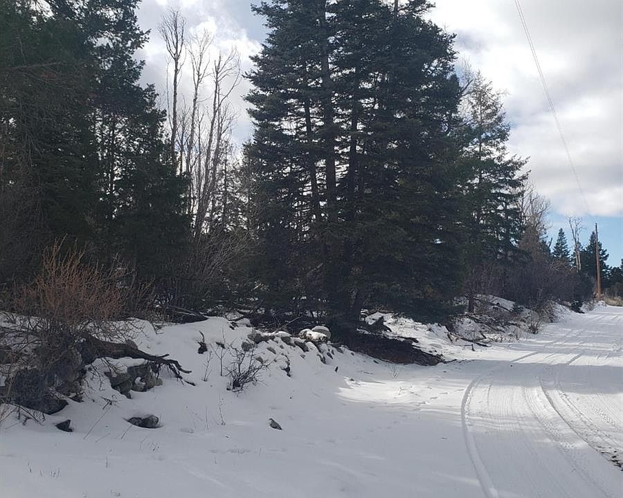 2nd image of 247 Mill Run