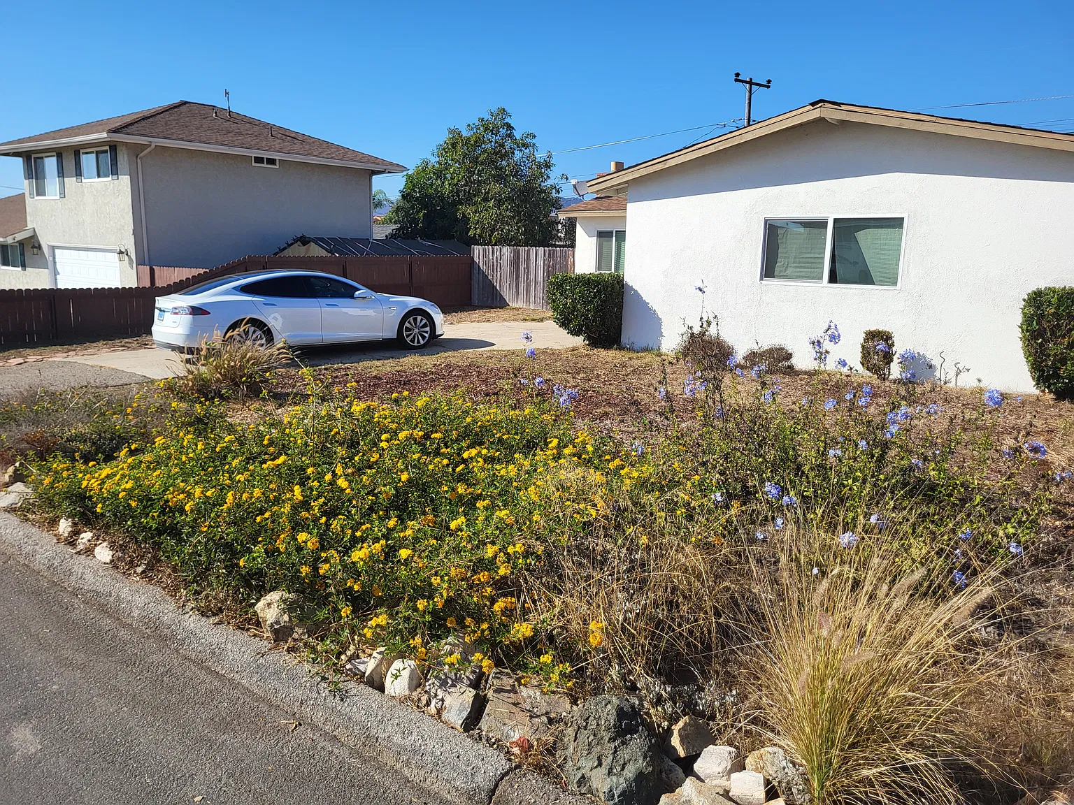 445 Park View Ave — Photo 3