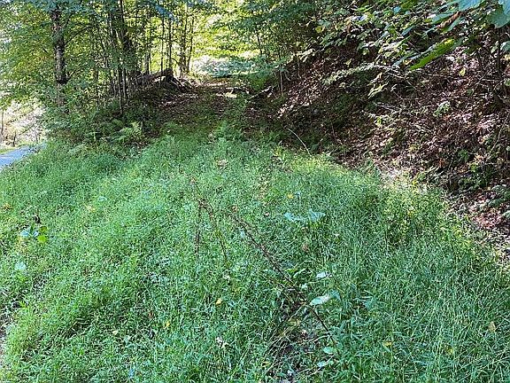 2nd image of Peas Eddy Rd