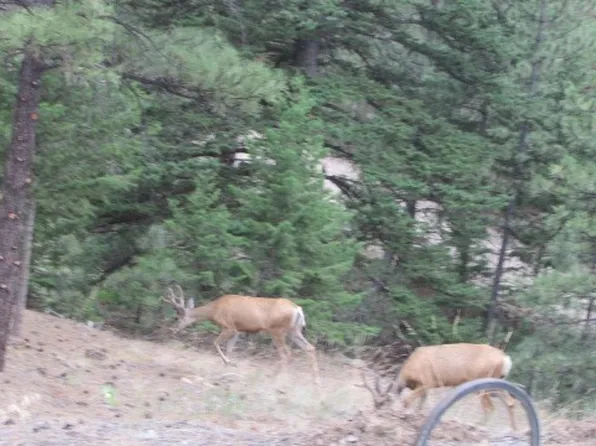 Mk83 Upper Sawmill Creek Rd, Cascade, MT 59421