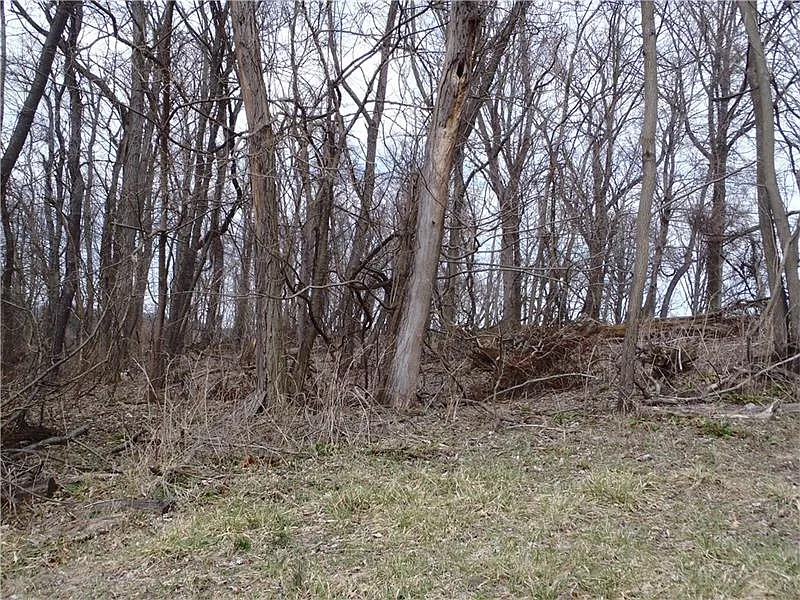 123 Deer Dr photo 1