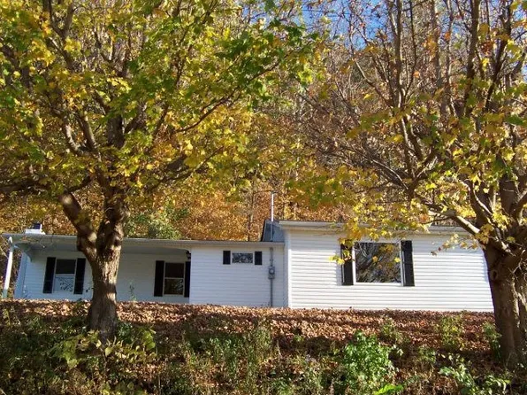 386 Millers Run Fallen Timber Rd, Lucasville, OH 45648