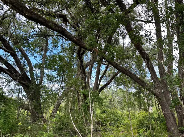 168th Street Ac #6.75, Mc Alpin, FL 32062